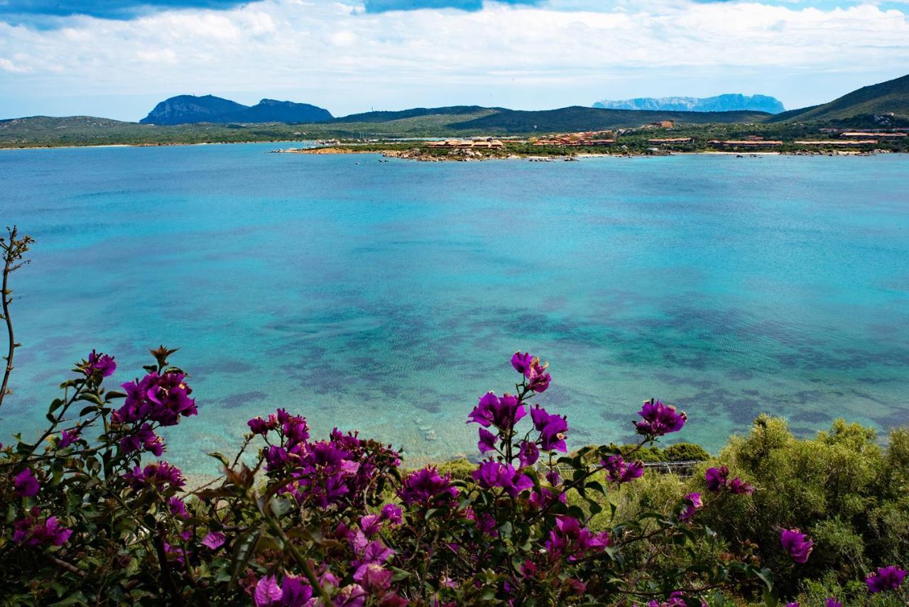 Apartmán Casa Valery Wonderful Sea View Porto Rotondo Exteriér fotografie