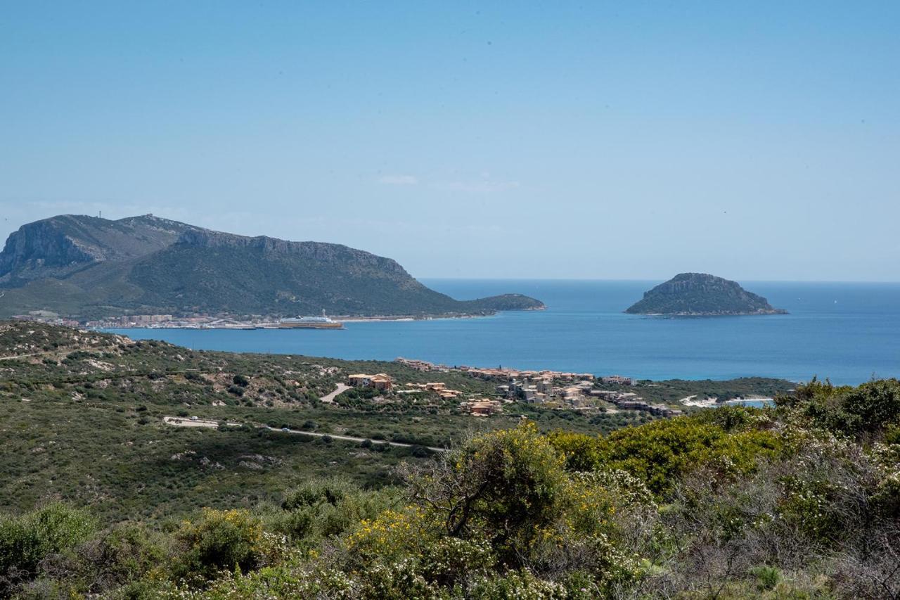 Apartmán Casa Valery Wonderful Sea View Porto Rotondo Exteriér fotografie