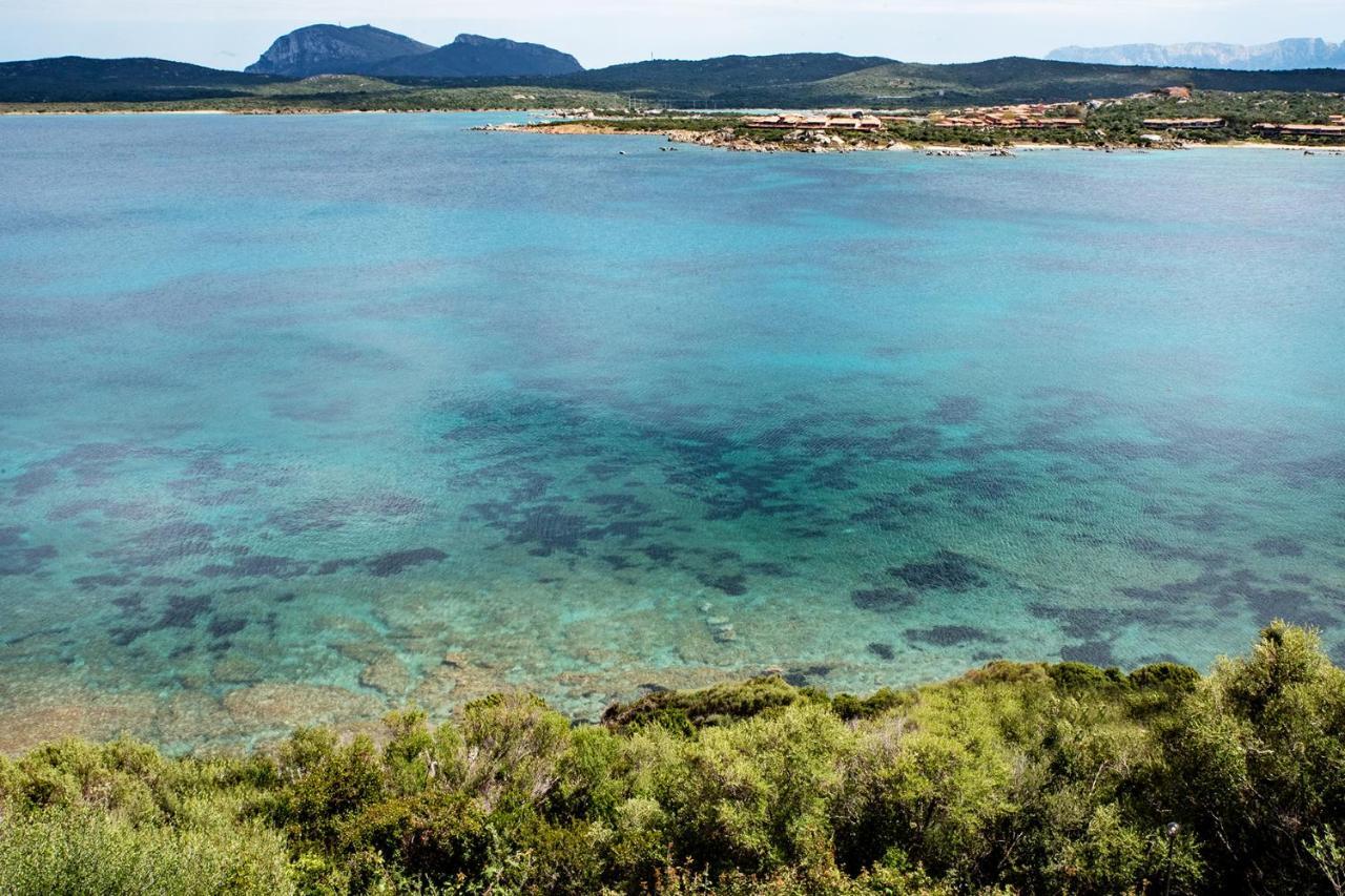 Apartmán Casa Valery Wonderful Sea View Porto Rotondo Exteriér fotografie